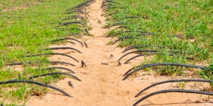 Drip irrigation application